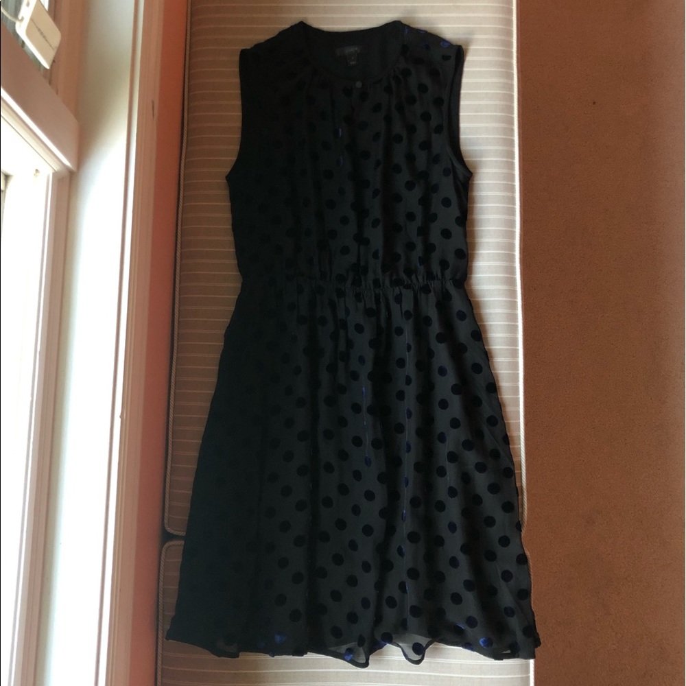 J. Crew Dress